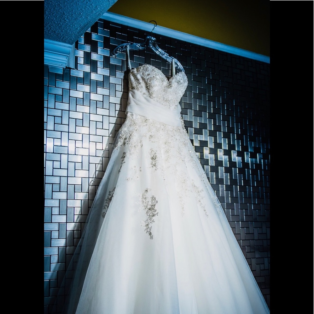 Stunning Wedding Dress - Sophi Toli (“Ida”)